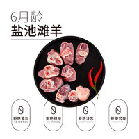 今日必买：宁鑫 盐池滩羊肉羊小腿切块800g（内含拐筋）羊腿肉生鲜原切 炖煮食材