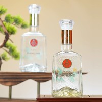 WULIANGYE 五粮液 金山银山礼盒 52%vol 植物露酒 500ml*2瓶