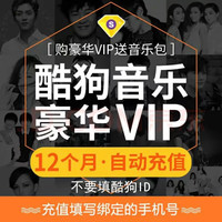 酷狗音乐 豪华VIP会员年卡 12个月