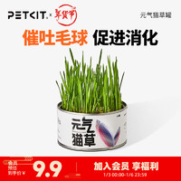 PETKIT 小佩 元气猫草种子猫薄荷猫零食去毛球化毛膏猫草水培种籽种植套装猫咪用品 1罐装