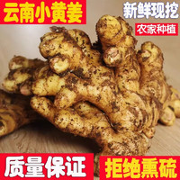 牛爱鲜 云南小黄姜新鲜蔬菜生姜老姜种子现挖沙姜 2500g 带泥土发