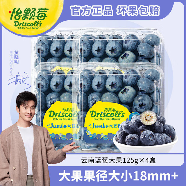 怡颗莓 Driscoll's 蓝莓大果125g*4盒