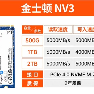 NV2系列 SNV2S NVMe M.2 固态硬盘 500GB（PCIe 4.0）