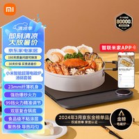 米家 MIJIA 小米电磁炉套装（智能超薄电磁炉+汤锅）家用多功能 大功率爆炒