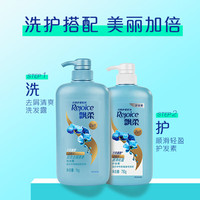 Rejoice 飘柔 家庭护理系列 长效清爽去屑洗发露 兰花 1L