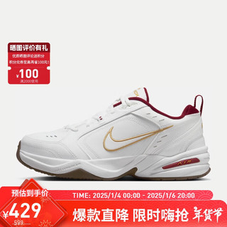 NIKE 耐克 男子训练鞋AIR MONARCH IV运动鞋IB4607-171 43