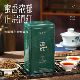 春上早特级滇红茶 2024新茶金丝滇红金螺浓香蜜香型茶叶礼盒罐装125g