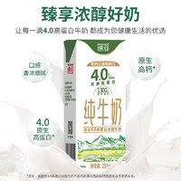 88VIP：Weidendorf 德亚 纯牛奶 4.0g高蛋白全脂 250ml×10