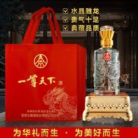 WULIANGYE 五粮液 股份公司 浓香型白酒  自饮佳选 龙年礼盒 52度 500mL 2瓶 一尊天下