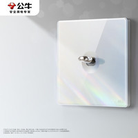 公牛（BULL）复古开关插座亚克力拨杆开关超薄面板一开双控开关G70K112星云灰