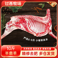 过西牧场 羊肉 小骨架羔羊 半只羊腿羊排手把肉 10斤