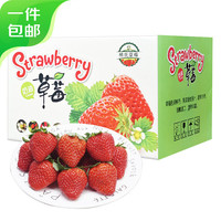 菲农99红颜草莓2斤 单果15-25g 奶油草莓新鲜水果源头直发