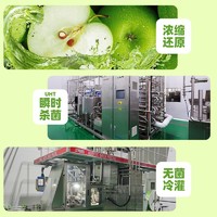 Ferris wheel 菲里维尔 苹果汁复原果汁饮料小瓶便携箱装200ml*12瓶清甜果汁饮品