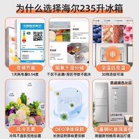 Haier 海尔 235升三门小型一级电冰箱阻氧干湿分储风冷无霜彩晶面板