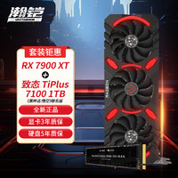 VASTARMOR 瀚铠 RX7900XT 20GB星空显卡+致态7100 1TB《黑神话：悟空》联名版 SSD固态硬盘套装