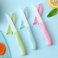 CAIFAN水果礼盒混搭 新鲜水果应季10种组合高端果篮品 陶瓷果刀 10g （单拍不）