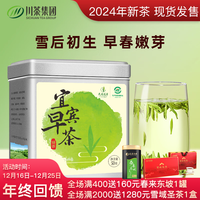 天府龙芽2024年新茶宜宾早茶绿茶茶叶特级雀舌四川高山独芽早春茶 宜宾早茶*1罐