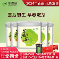 天府龙芽2024年新茶宜宾早茶绿茶茶叶明前特级雀舌四川高山独芽早春茶50g 宜宾早茶50g*5罐