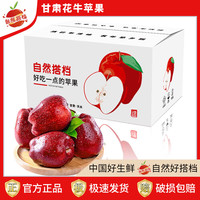 自然搭档甘肃天水花牛苹果 一果两吃 粉面香甜可刮泥 新鲜应季水果 净重4.5斤 单果260-330g