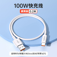 罗马仕 0.2米|单条装【100W/88W/66W超级快充】