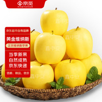 京觅山东维纳斯黄金苹果水果奶油苹果 净重单果150g起 源头直发