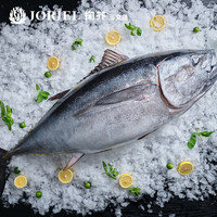 掬芥 澳大利亚冰鲜金枪鱼 整条26-28斤 源头直发