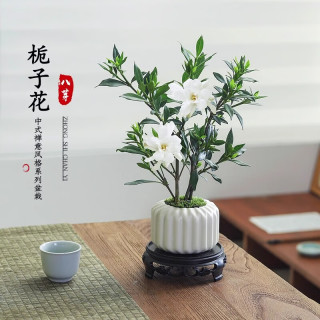 移动端、京东百亿补贴：八芽 小叶栀子花盆栽开花植物室内桌面茶几好养花卉绿植办公室净化空气 小叶栀子花-陶瓷竖纹盆 带盆栽好