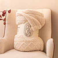 索隆双面绒AB版塔芙绒羊羔绒毯子双层加绒毛毯 塔夫毯-米白同色DB 120*200cm