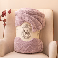 索隆双面绒AB版塔芙绒羊羔绒毯子双层加绒毛毯 塔夫毯-香芋紫同色DB 230*200cm约4.4斤