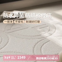 AOVOC法式奶油风防水抑菌地毯客厅卧室沙发毯浮雕罗浮宫殿 300*400cm