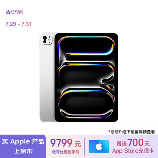 苹果 Apple iPad Pro 11英寸 M4芯片 2024年新款平板电脑(512G WLAN版/MVVD3CH/A)银色