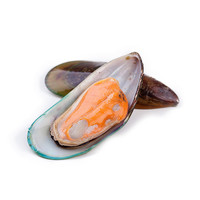 怡鲜来 新西兰新鲜冷冻半壳青口贝1000克/盒  翡翠贻贝 海鲜水产贝类