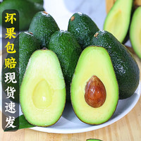 小黄鲜果 墨西哥进口牛油果 15个 中果100-130g