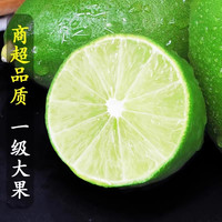 小黄鲜果 香水柠檬新鲜一级应当季水果非广东云南无籽青柠檬奶茶店专用9斤