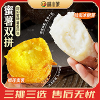 桃小蒙 [4拼组合]桃小蒙家的四大薯王黄金榴莲蜜薯泰紫薯哈密薯烟薯25号