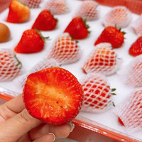 卡布诺 丹东东港99草莓新鲜九九久久红颜大草莓鲜奶香孕妇水果生鲜空运