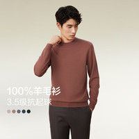 红豆羊毛衫男秋季打底针织纯色羊毛中年休闲百搭毛衣男 Z3-沉香褐 170/92B 【46】【体重100-130】