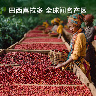 京东京造巴西单品咖啡豆500g100%阿拉比卡中深度烘焙醇厚低酸黑咖啡 【巴西单品豆】低酸平衡