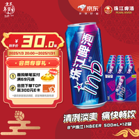 珠江啤酒 InBeer 500ml*12听