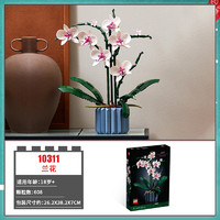 乐高 LEGO Botanical Collection植物收藏系列 10311 兰花