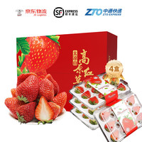 勿语 大凉山 牛奶草莓礼盒 单果12g+ 每盒250克 四盒净重2.1斤