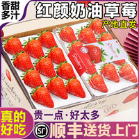 粤迎大凉山草莓【JD顺丰多地次日达】奶油草莓香甜99红颜草莓现摘新鲜 净