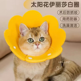 悠梵萌 猫咪伊丽莎白圈脖圈狗项圈太阳花轻薄防舔头套绝育宠物用品防水m