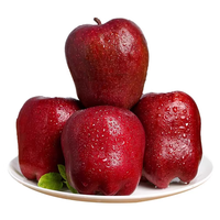 京觅甘肃天水花牛苹果 新鲜水果 净重 70-75果  源头直发  包邮
