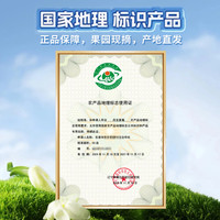 丹东99草莓红颜大草莓东港九九年货水果礼盒当季新鲜奶油