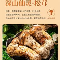 冯氏云大 松茸鲜100克调味料正宗松茸鲜复合调味料袋装家用炒菜凉拌煲汤