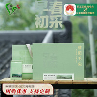 双碑绿茶信阳毛尖500g2024年明前新茶春茶年货茶叶礼盒装送领导