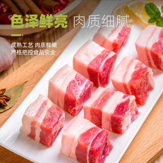 LONG DA 龙大 肉食 猪五花肉块2斤 冷冻带皮五花酱卤肉烧烤出口日本级 烤肠食材