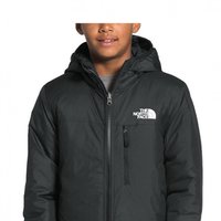 THE NORTH FACE 北面 韩国直邮the north face  羽绒服高端正品 童装