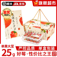 田拾记大凉山红颜草莓【JD/】非丹东99牛奶草莓水果新鲜年货节 8盒礼盒装【过年聚餐畅享】 单果13-18g【80%人选】 8盒礼盒装【低至9/盒】